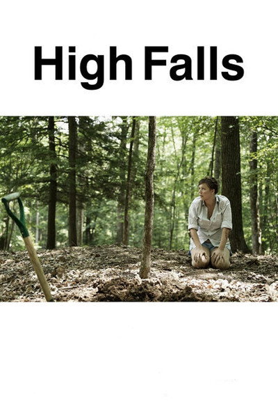 Póster de High Falls
