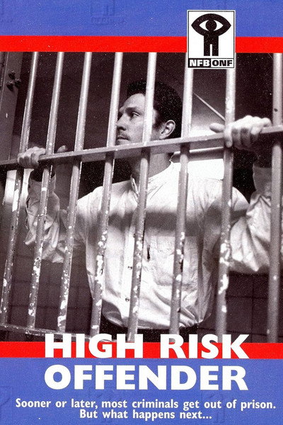 Póster de High Risk Offender