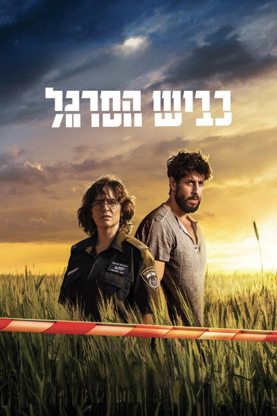 Póster de Highway 65