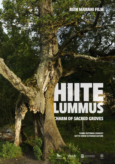 Póster de Hiite lummus