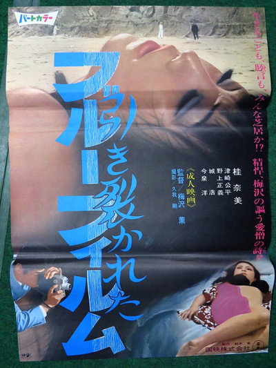 Póster de Hikisakareta blue film