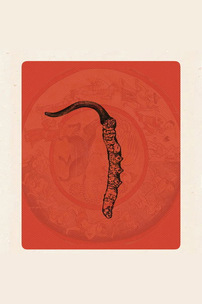 Póster de Himalayan Gold