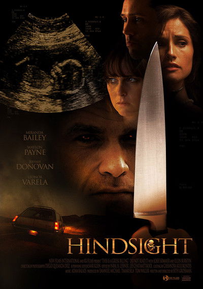Póster de Hindsight
