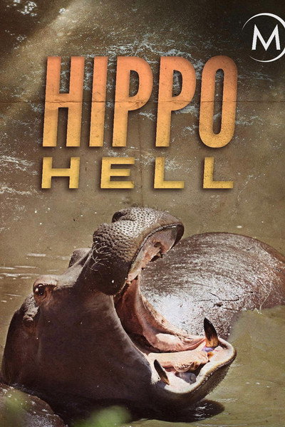 Póster de Hippo Hell