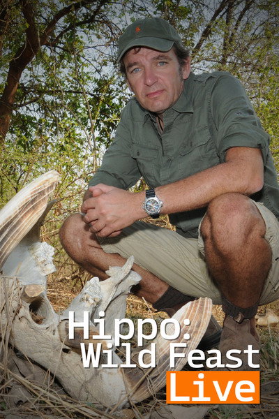 Póster de Hippo: Nature's Wild Feast
