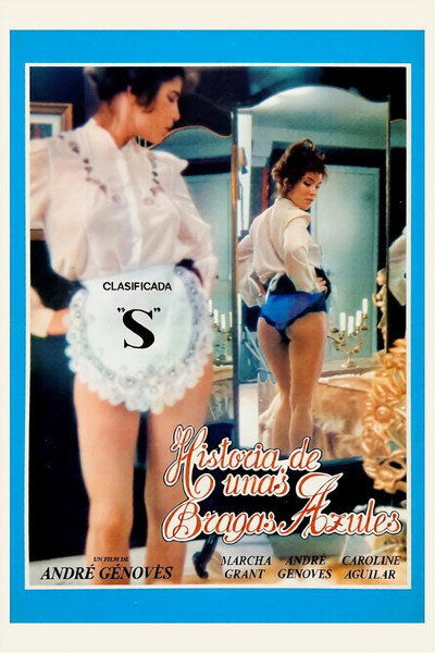 Póster de Historia de unas bragas azules