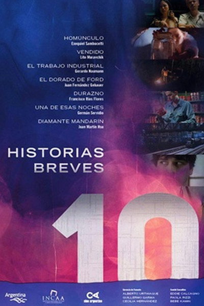 Póster de Historias Breves 10