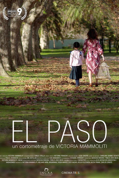 Póster de Historias Breves 9: El Paso