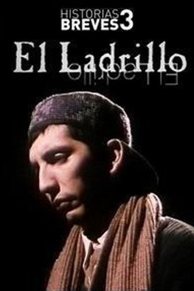 Póster de Historias Breves III: El ladrillo