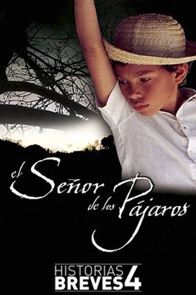 Póster de Historias breves IV: El señor de los pájaros