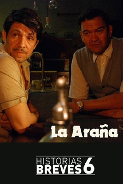 Póster de Historias Breves VI: La araña