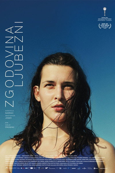 Póster de History of Love