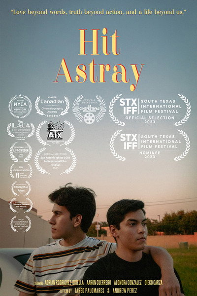 Póster de Hit Astray