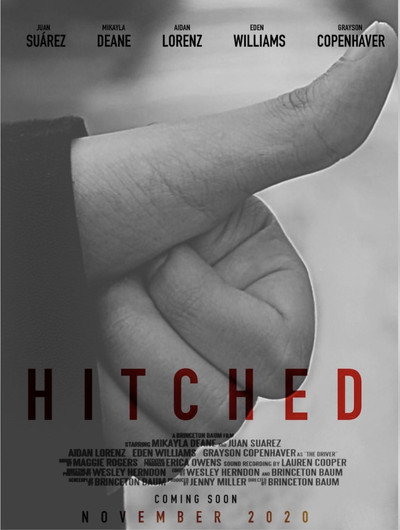 Póster de Hitched