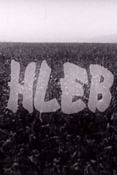 Póster de Hleb