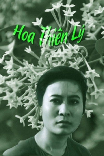 Póster de Hoa thiên lý
