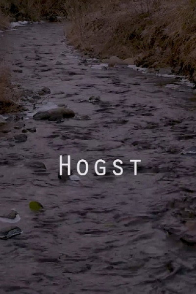 Póster de Hogst