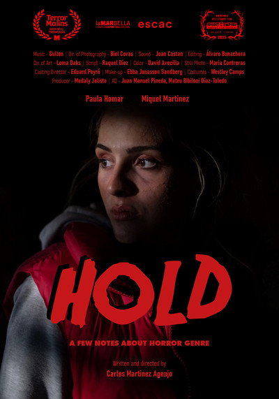 Póster de Hold