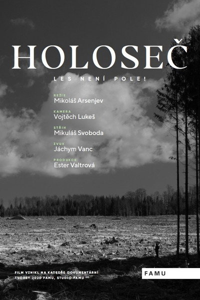 Póster de Holosec!