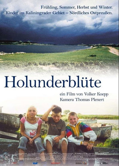 Póster de Holunderblüte