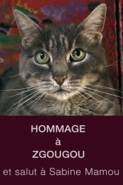 Póster de Homage to Zgougou the Cat