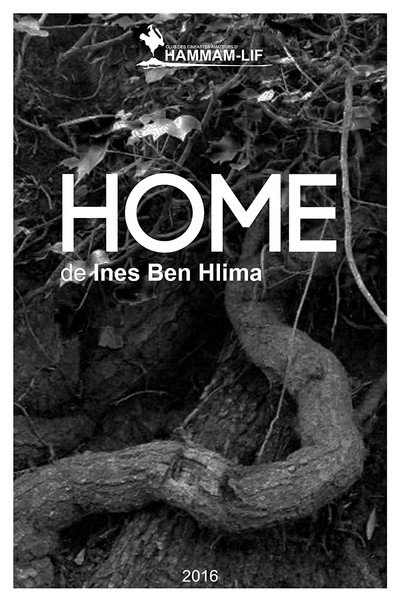 Póster de Home