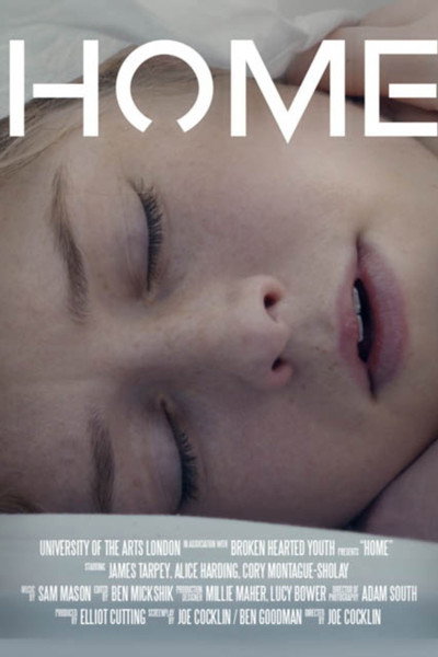 Póster de Home