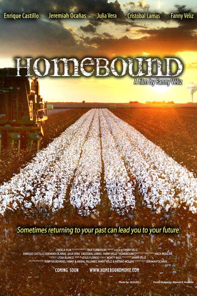 Póster de Homebound