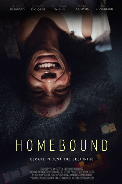 Póster de Homebound