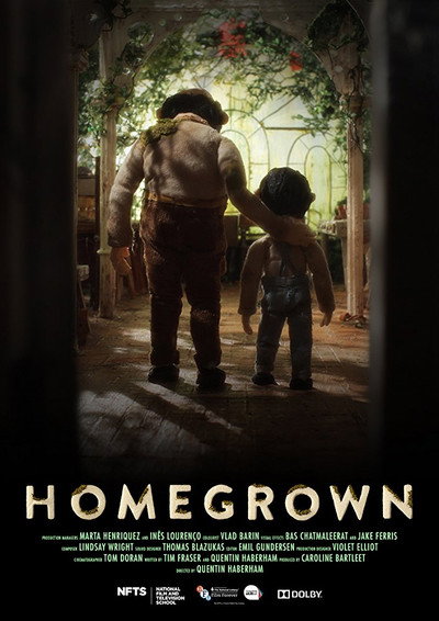 Póster de Homegrown