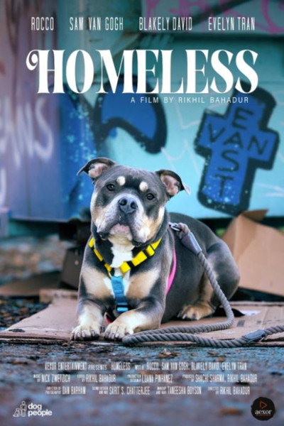 Póster de Homeless