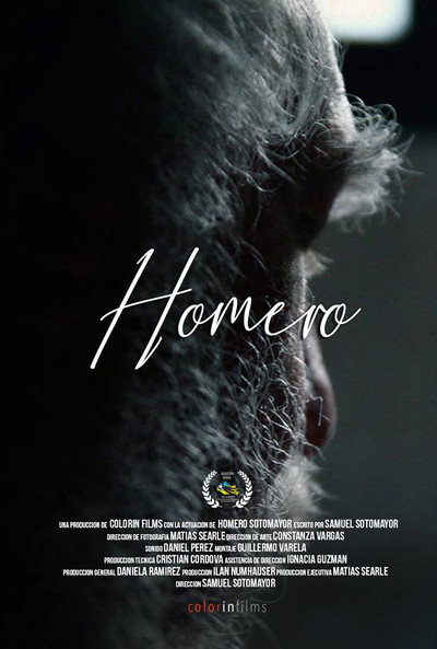 Póster de Homero
