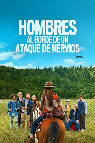 Póster de Homes a punt de tenir un atac de nervis