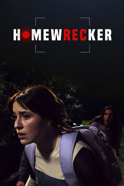 Póster de Homewrecker