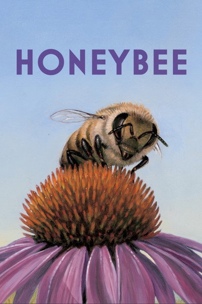 Póster de Honeybee