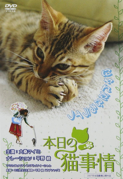 Póster de Honjitsu no neko jijô