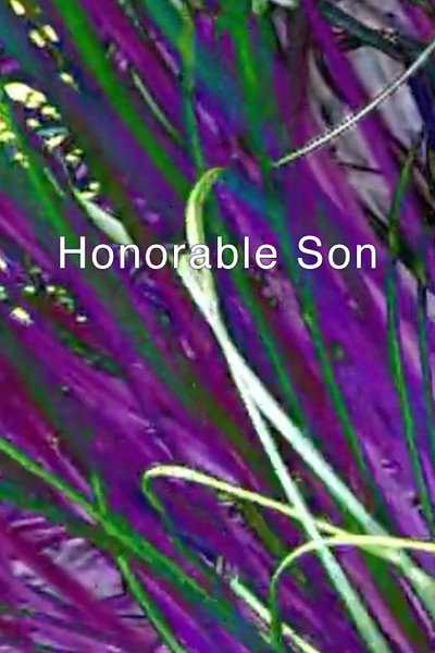 Póster de Honorable Son