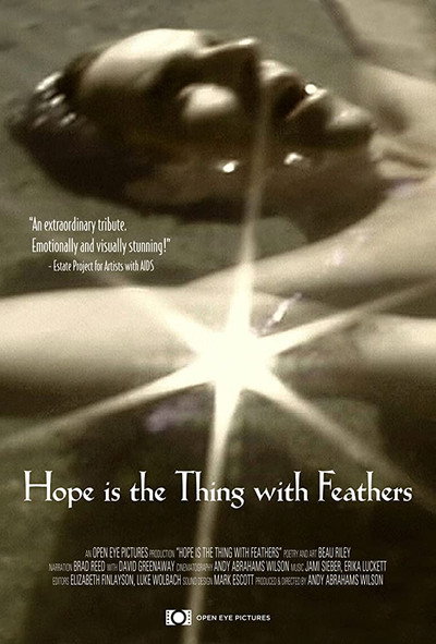 Póster de Hope Is the Thing with Feathers