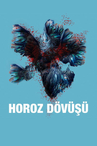 Póster de Horoz Dövüsü