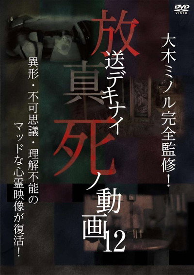 Póster de Hoso Dekinai Shi no Doga 12
