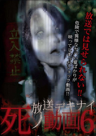 Póster de Hoso Dekinai Shi no Doga 6