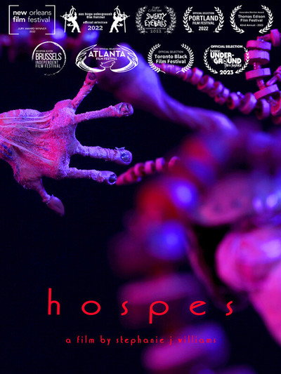 Póster de Hospes