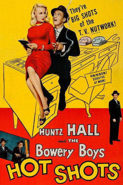 Póster de Hot Shots