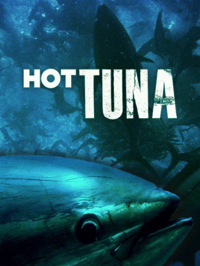 Póster de Hot Tuna