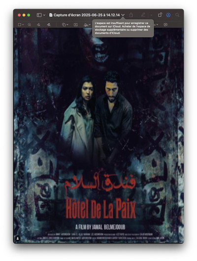 Póster de Hotel de la paix