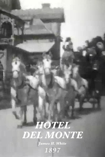 Póster de Hotel del Monte