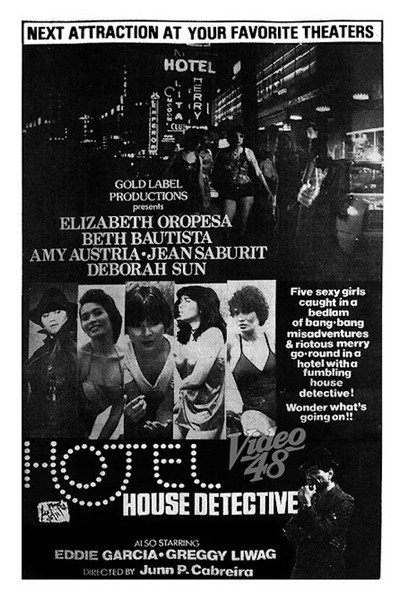 Póster de Hotel house detective