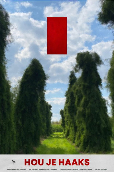 Póster de Hou je Haaks