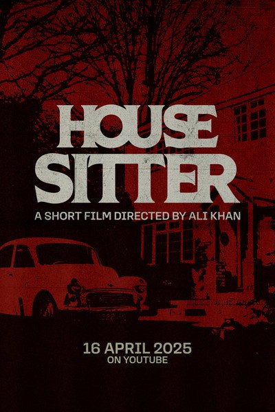 Póster de House Sitter