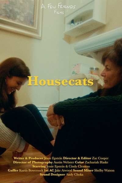 Póster de Housecats